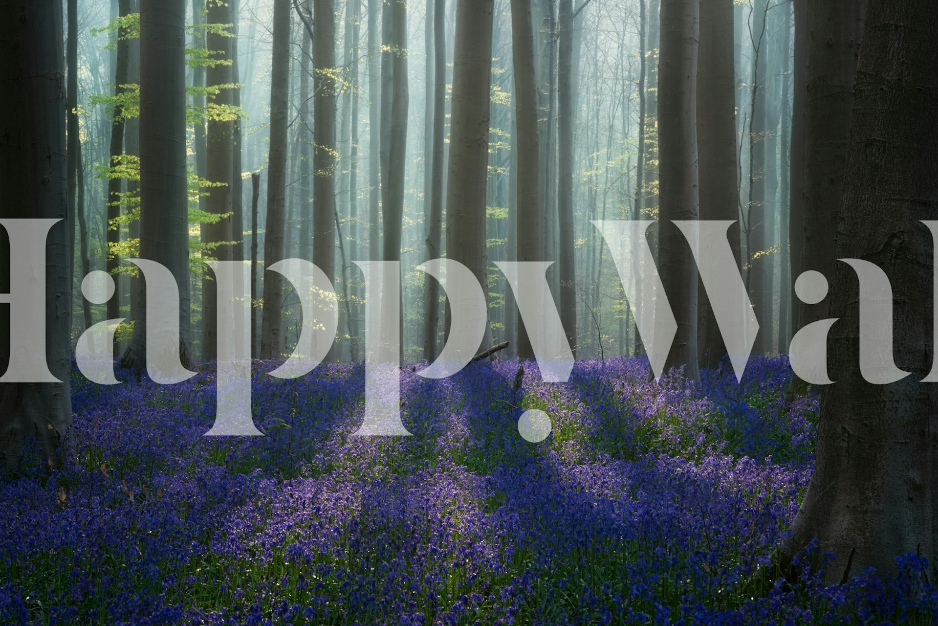 Bluebell heaven wallpaper in een kamer