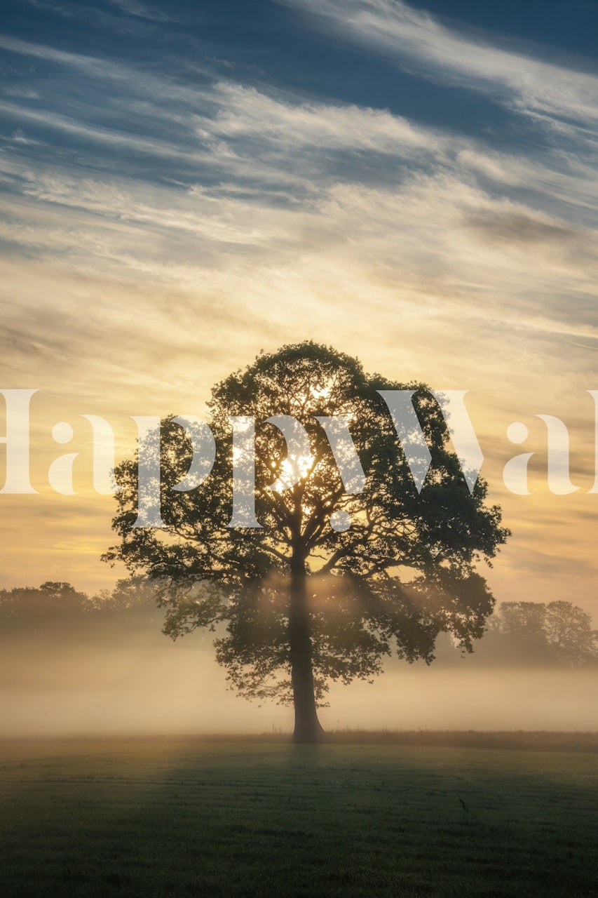 Alone in the fog II wallpaper in a room