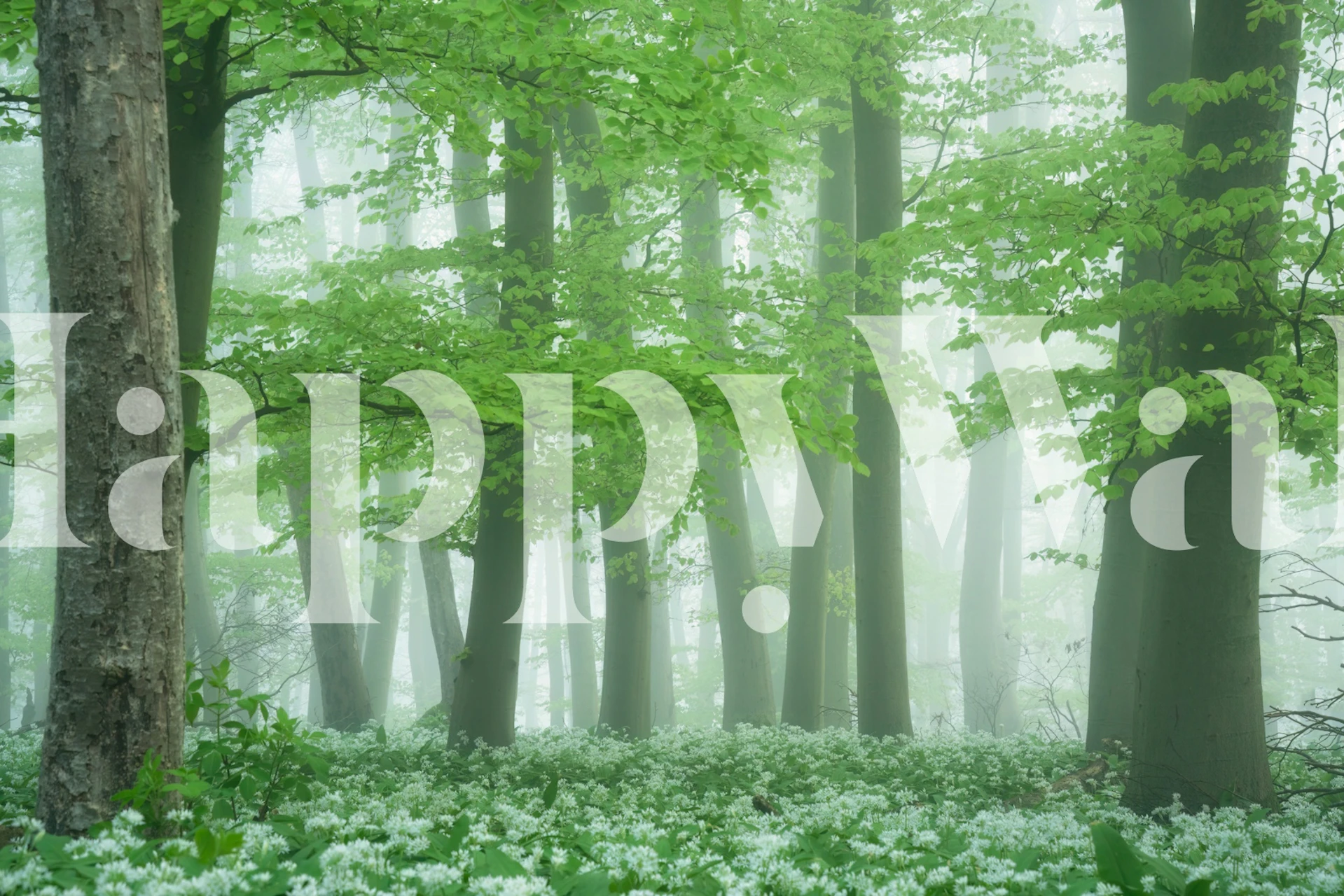 Foggy garlic wallpaper design in a room