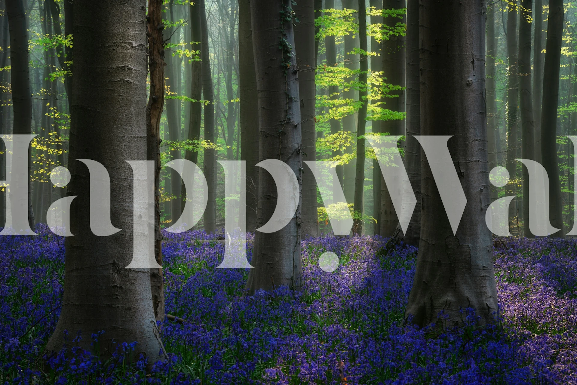 Spring blues behang in een kamer