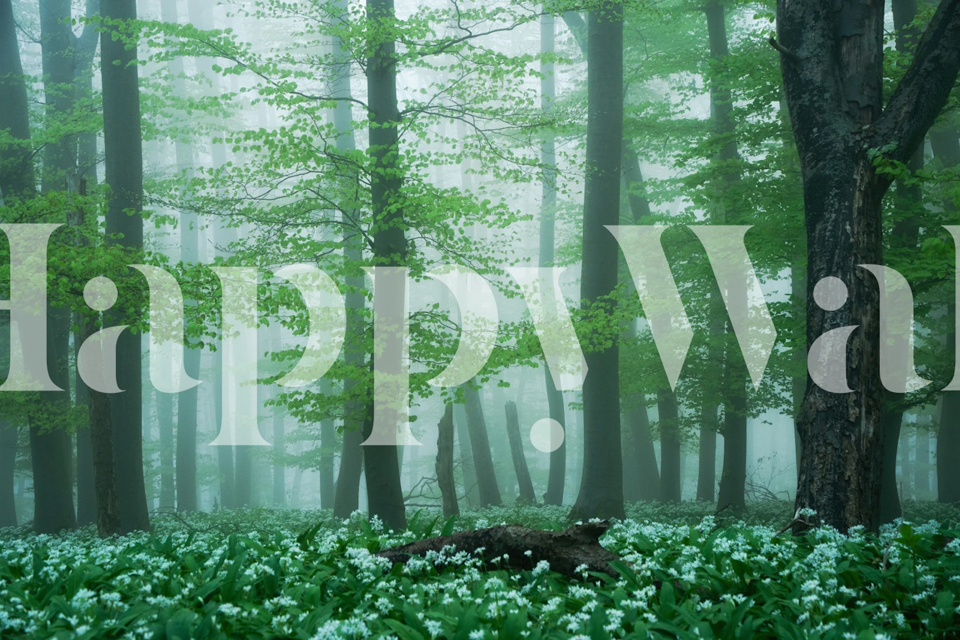 Emerald Woodland Escape wallpaper in a room