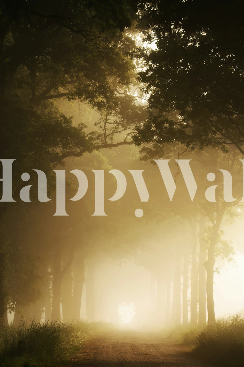 Misty Forest Sunrise zidna obloga u sobi