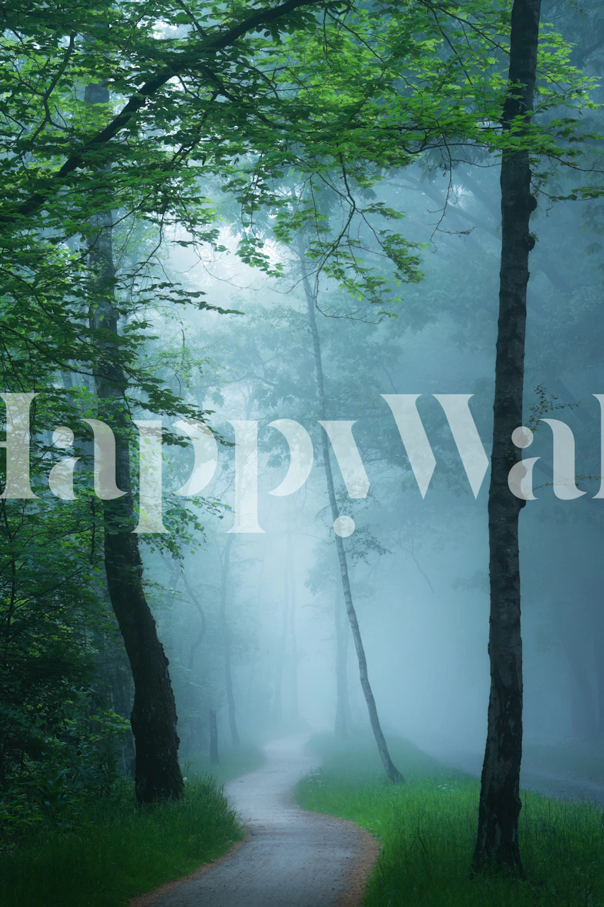 Foggy bicycle path-tapetti huoneessa