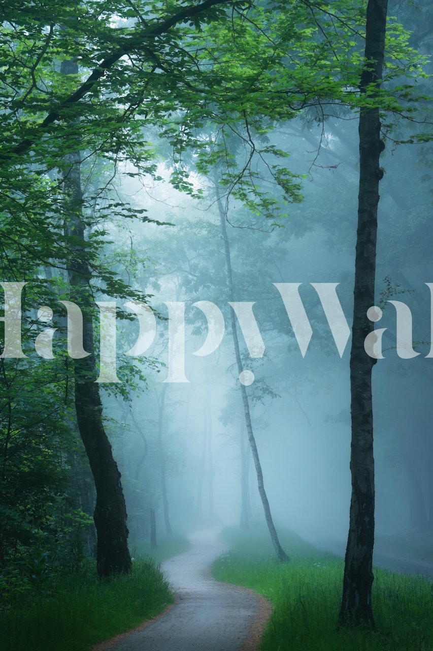 Foggy bicycle path surrounded by tall green trees wallpaper