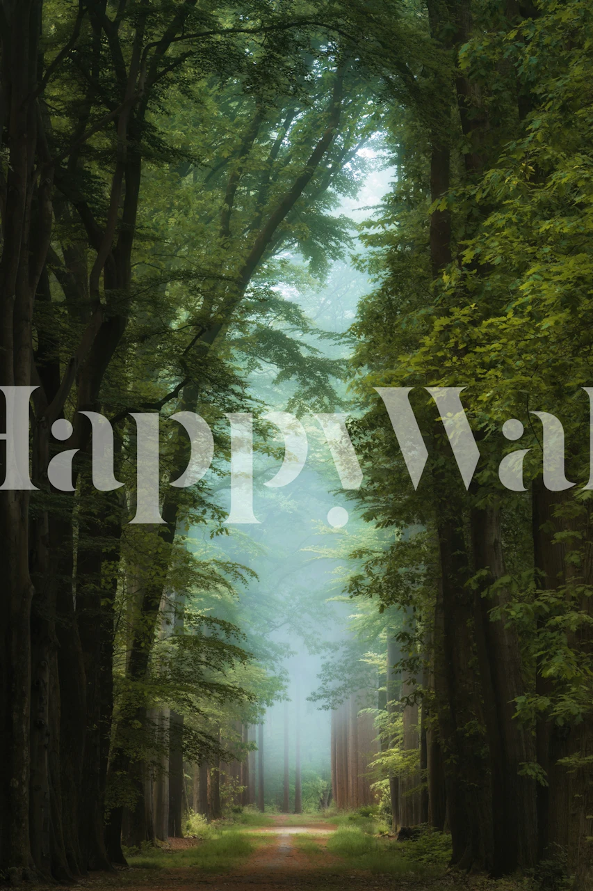 Forest pathway with tall trees and misty atmosphere wallpaper