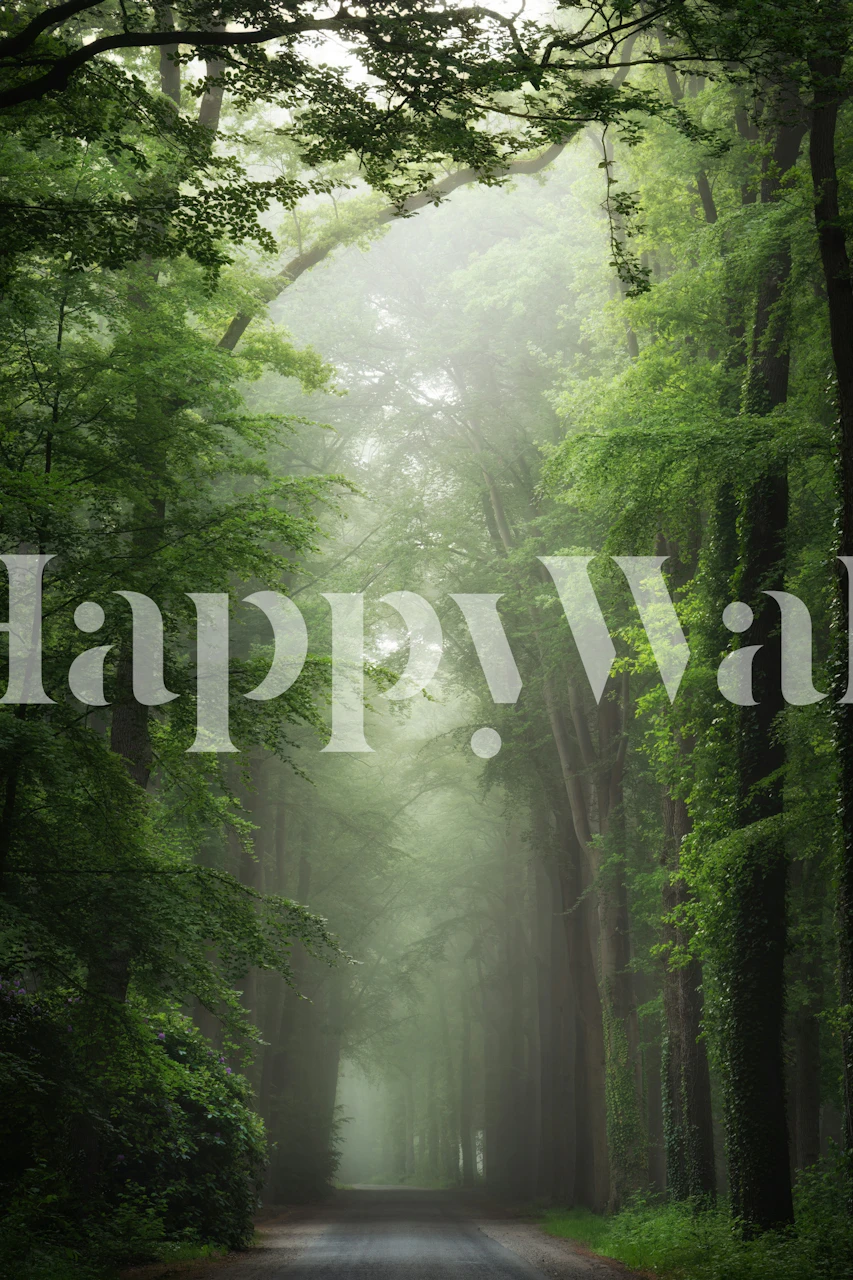 The tree tunnel wallpaper in a room