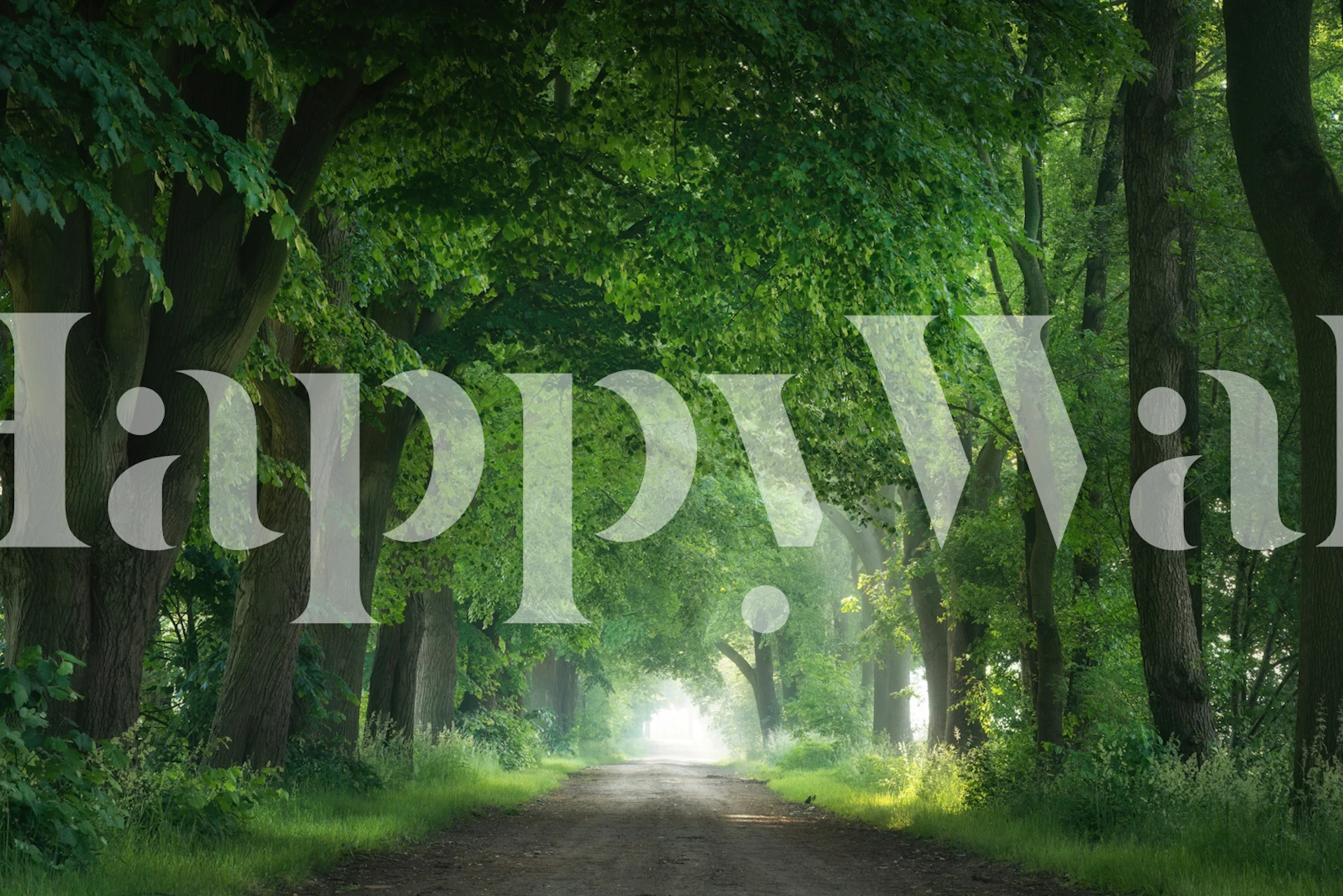 Zidna obloga Green tunnel u postavci sobe.