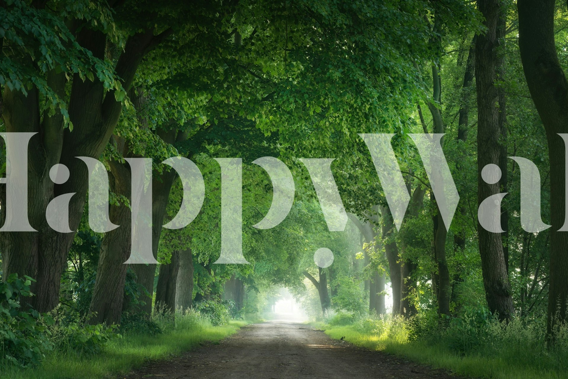 Green tunnel Tapete in einer Raumgestaltung.