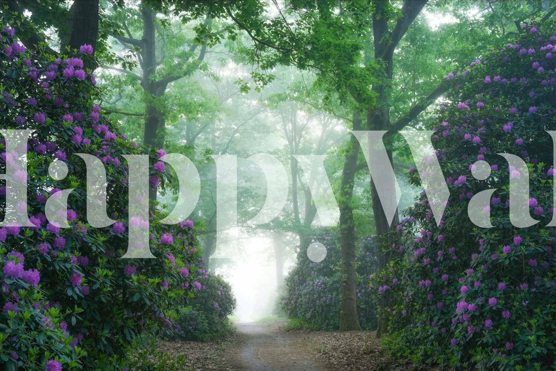 Mystical Forest Pathway-tapet i et rom