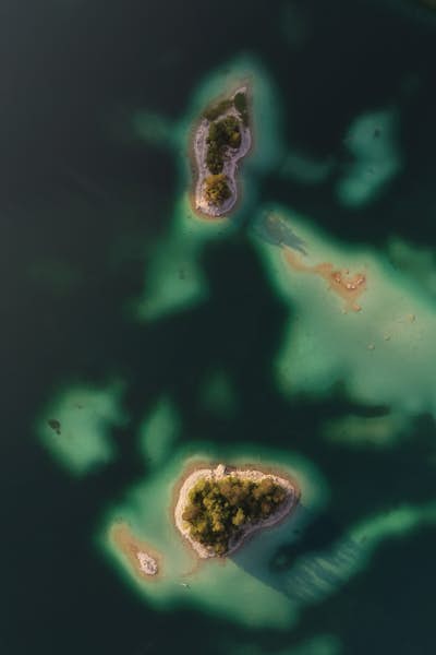 Τοιχογραφία