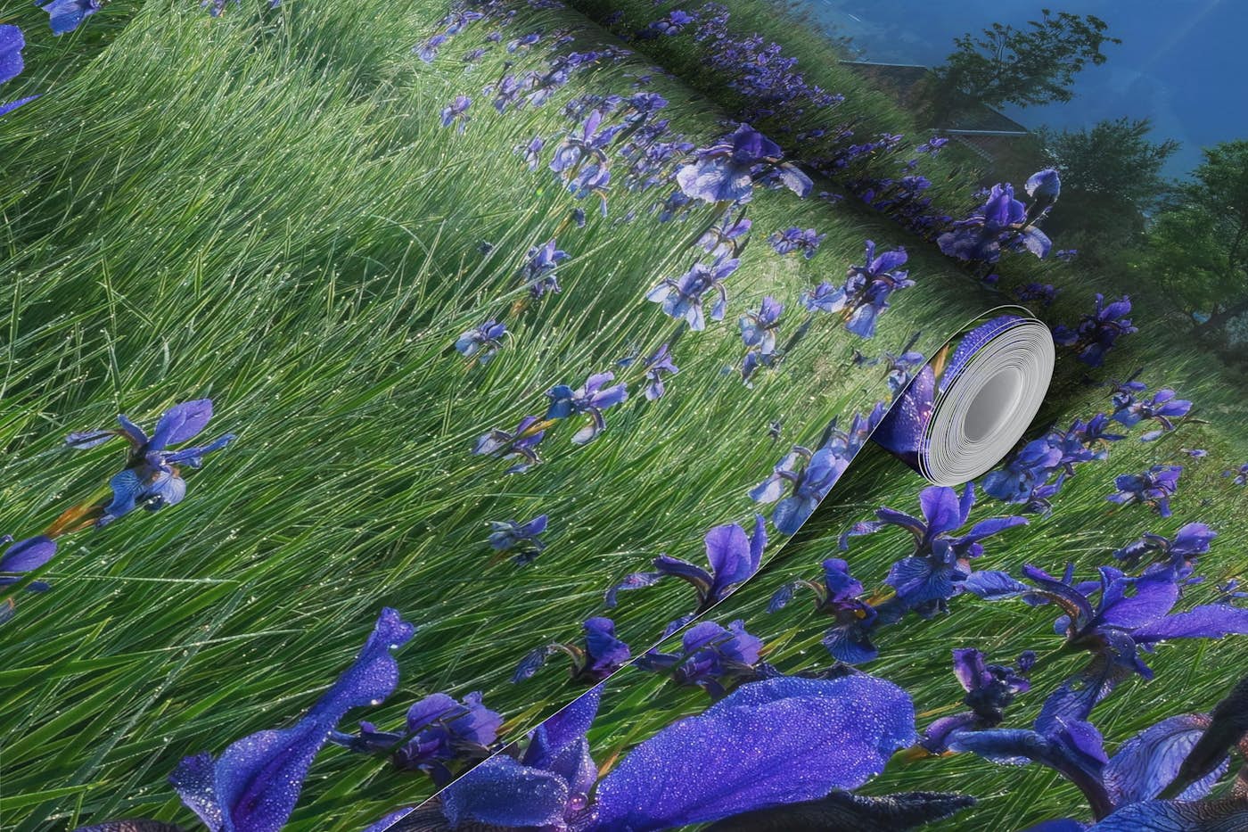 Blue iris at the Zugspitze wallpaper roll