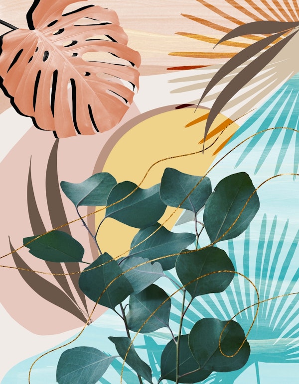 Eucalyptus  Summer  Glam 1