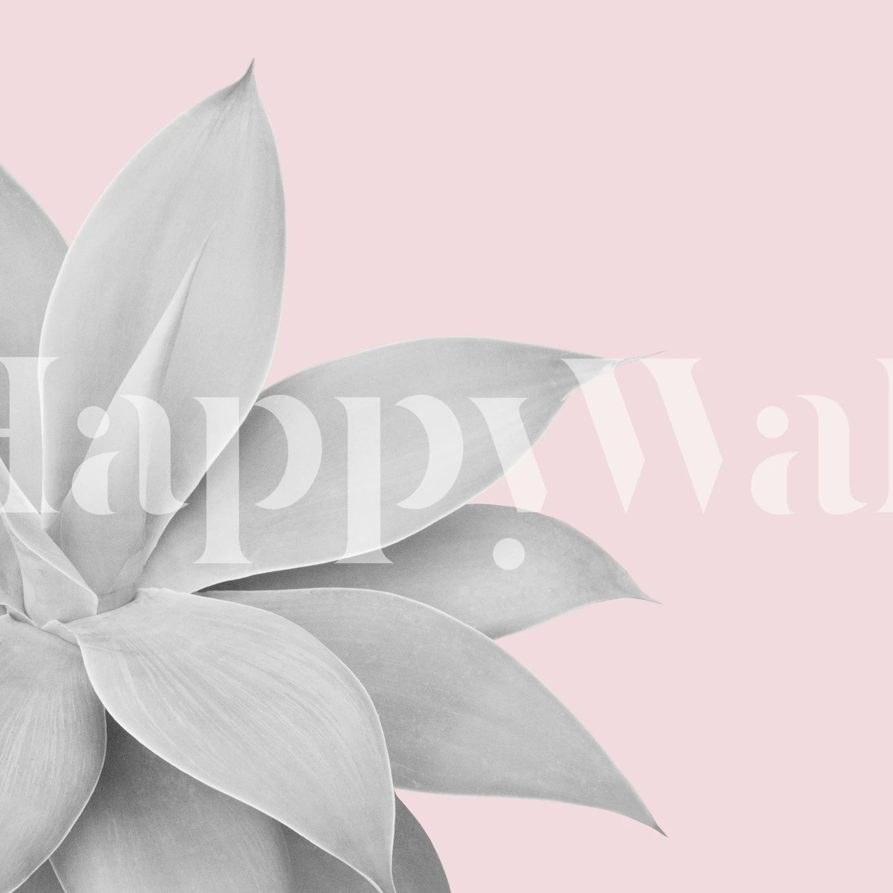 Minimalistisk veggmaleri med agaveplanter med rosa bakgrunn