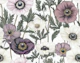 Vintage Anemone Herbarium Victorian