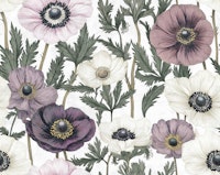 Vintage Anemone Herbarium Victorian Large papiers peint