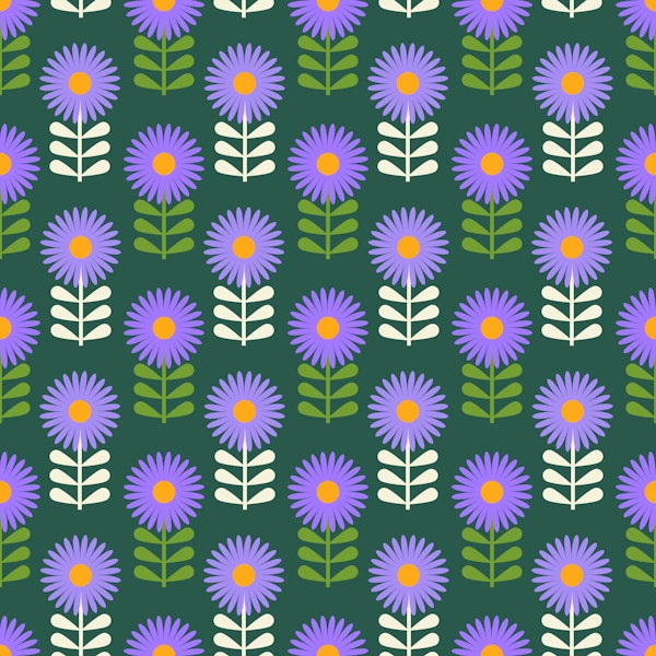 Midcentury Asters