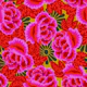 Bold Red Fuchsia Rose Blooms