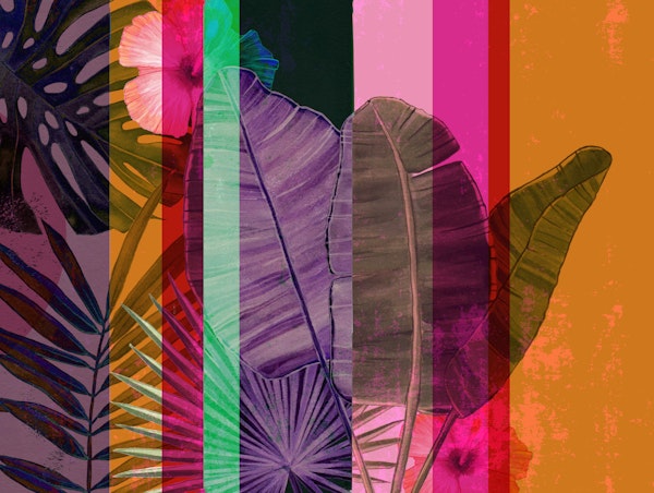 Vibrant Maximalist Tropical Escape