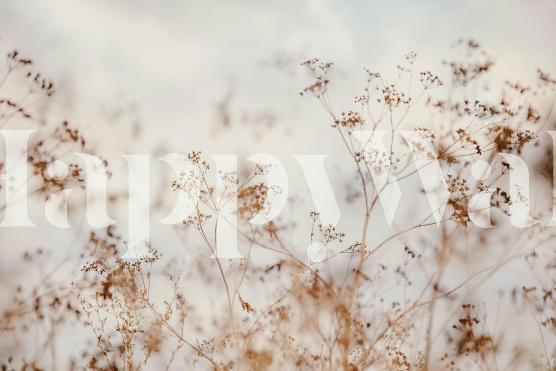 Wildflowers of Spain Dried Grass Caramel behang