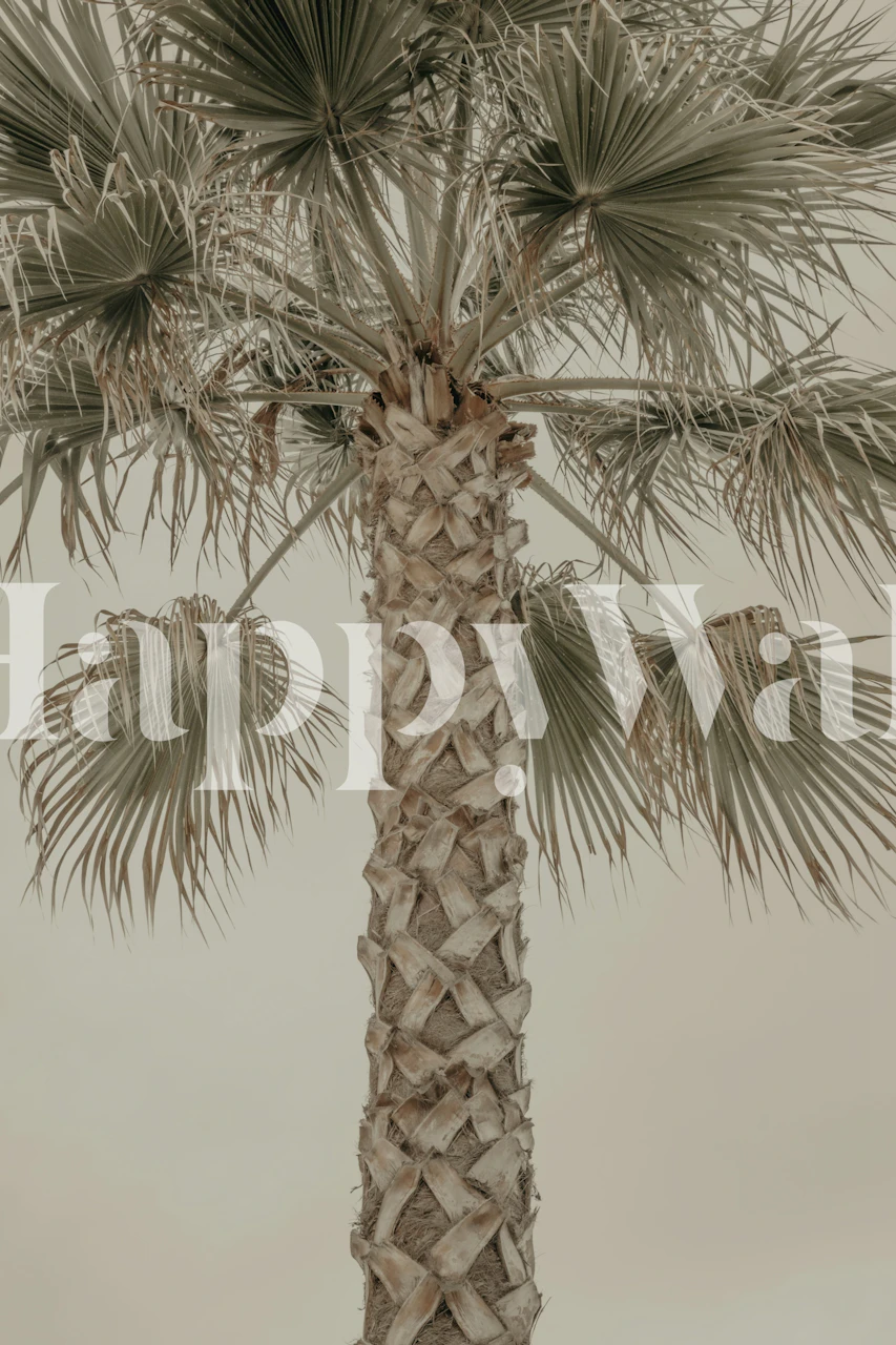 Palm tree close-up with textured trunk and green leaves wallpaper