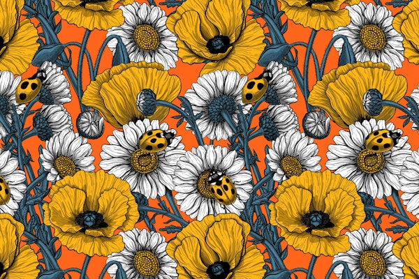 The meadow in yellow and blue