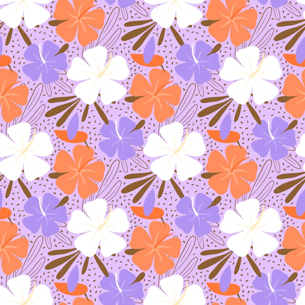 Hibiscus and hummingbird