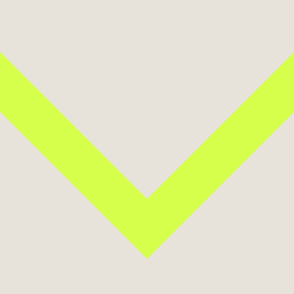 Vibrant Neon Chevron