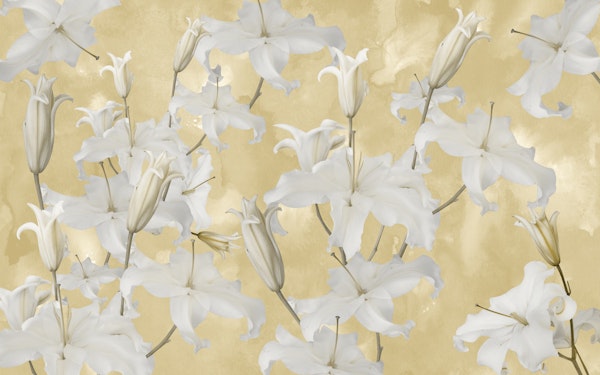 White Lily Blossom Glam 3a