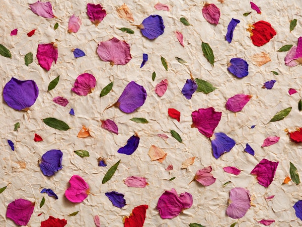Pressed Petals and Leaves Paper