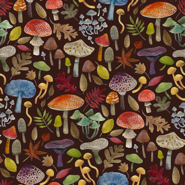 Watercolour Toadstools - dark brown M