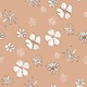 Soft White on Terracotta Pastel Flower Field
