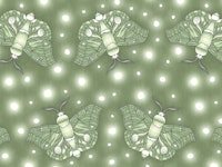 Light Green Moth Glow tapete