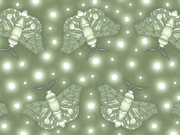 Light Green Moth Glow
