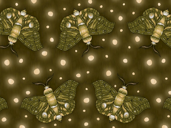 Olive Green Moth Glow