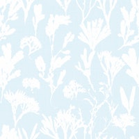coastal seaweed - light blue carta da parati