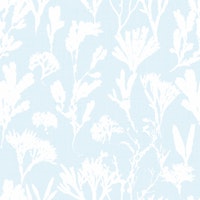coastal seaweed - light blue ταπετσαρία