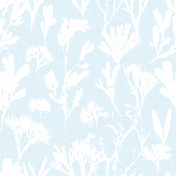 coastal seaweed - light blue
