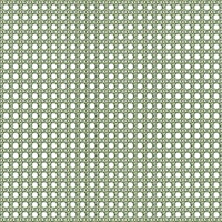 Rattan cane weave - green carta da parati