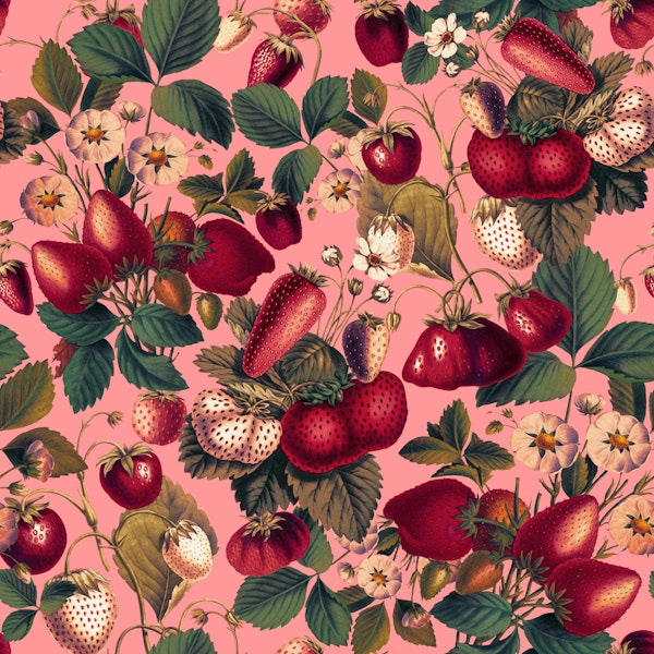 Strawberry Fields Forever VIII