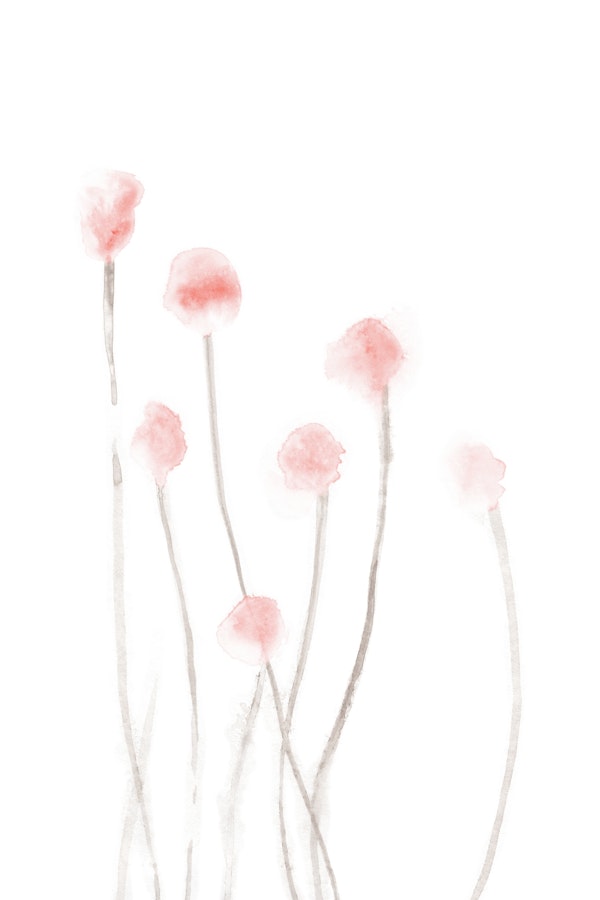 Watercolor flowers blushpink