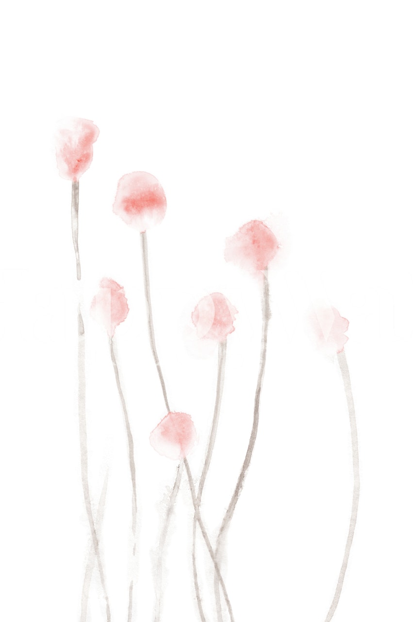 Watercolor Flowers Blushpink wall mural with soft pink florals against a white background