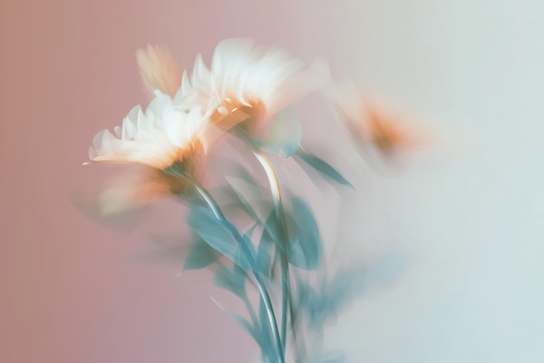 Ethereal Flower Dance - Motion Blur Flowers