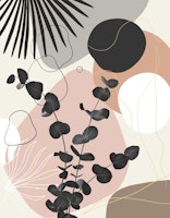 Eucalyptus Fan Palm Finesse 7 wallpaper