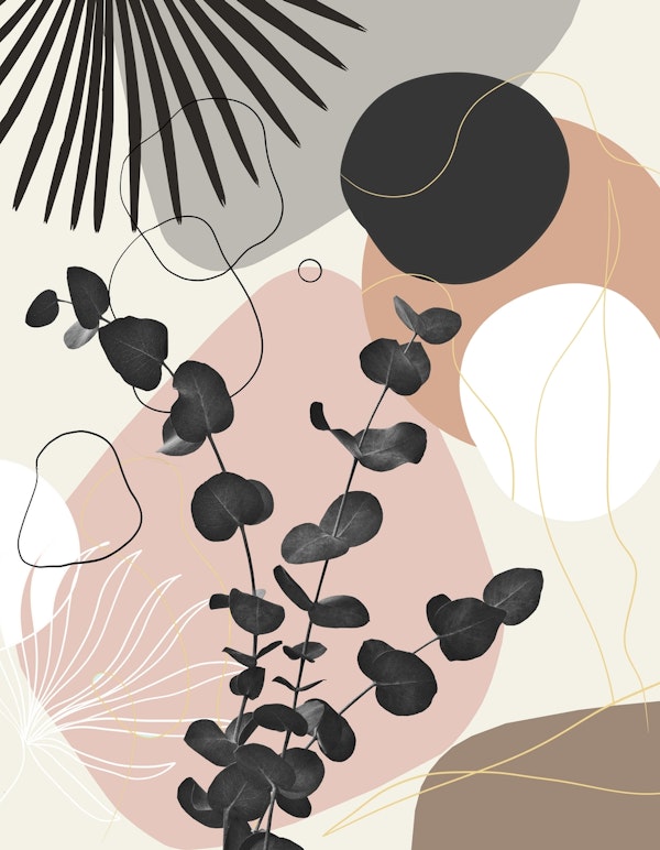 Eucalyptus Fan Palm Finesse 7