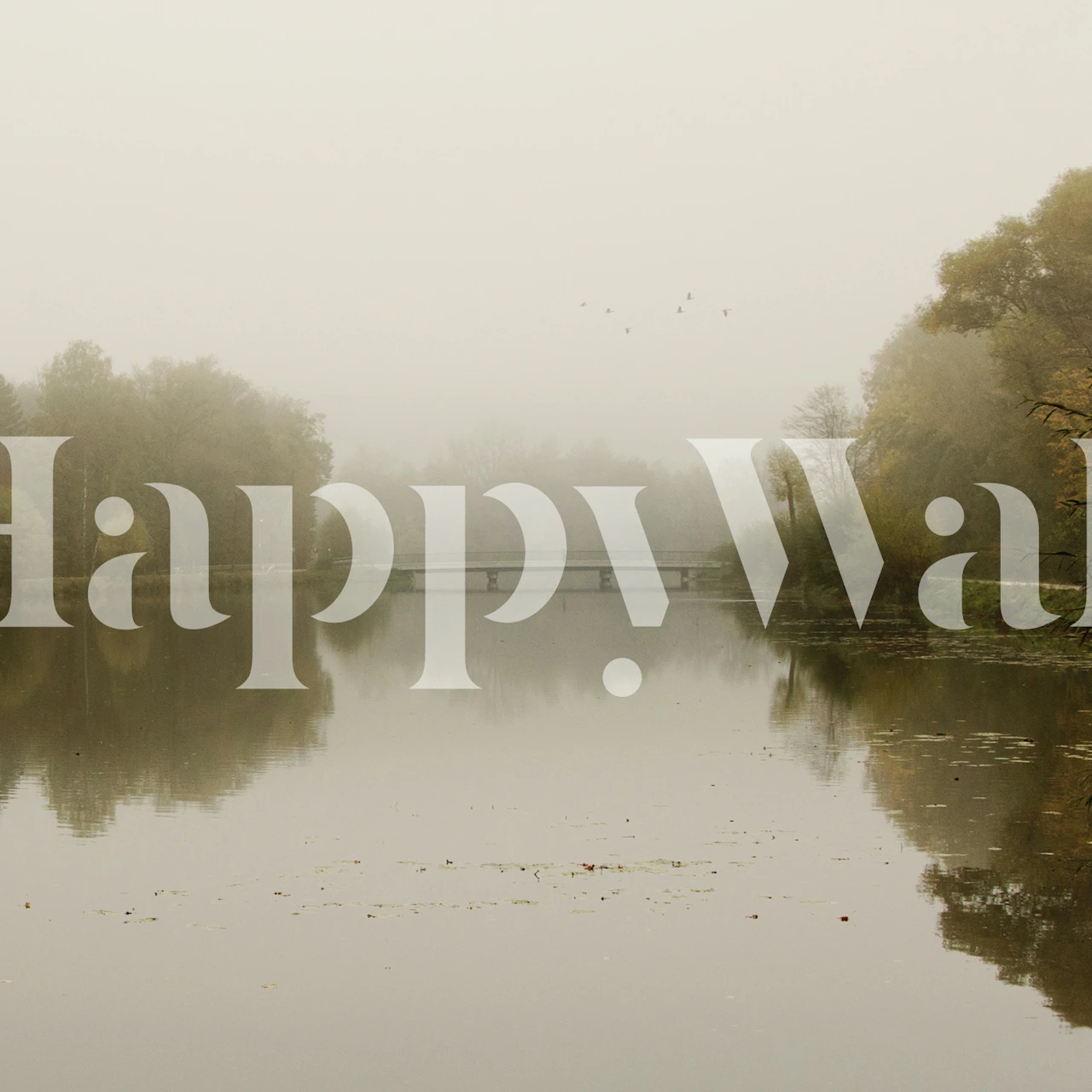 Foggy Autumn Reflection wallpaper in a room