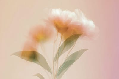 Τοιχογραφία