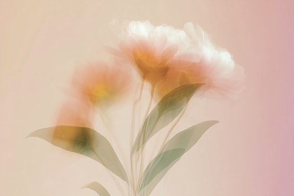 Soft Blossom Hues - Motion Blur Flowers