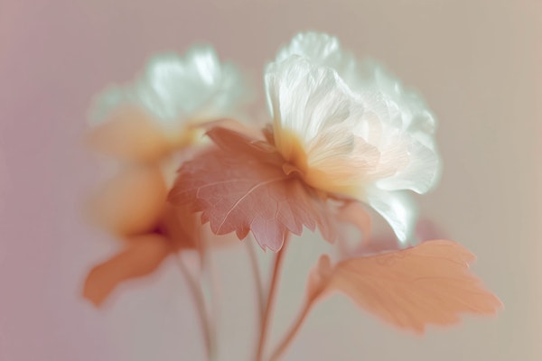 Pastel Bloom Elegance - Motion Blur Flowers