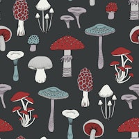 Midnight Mushrooms - Red and charcoal - Med tapete