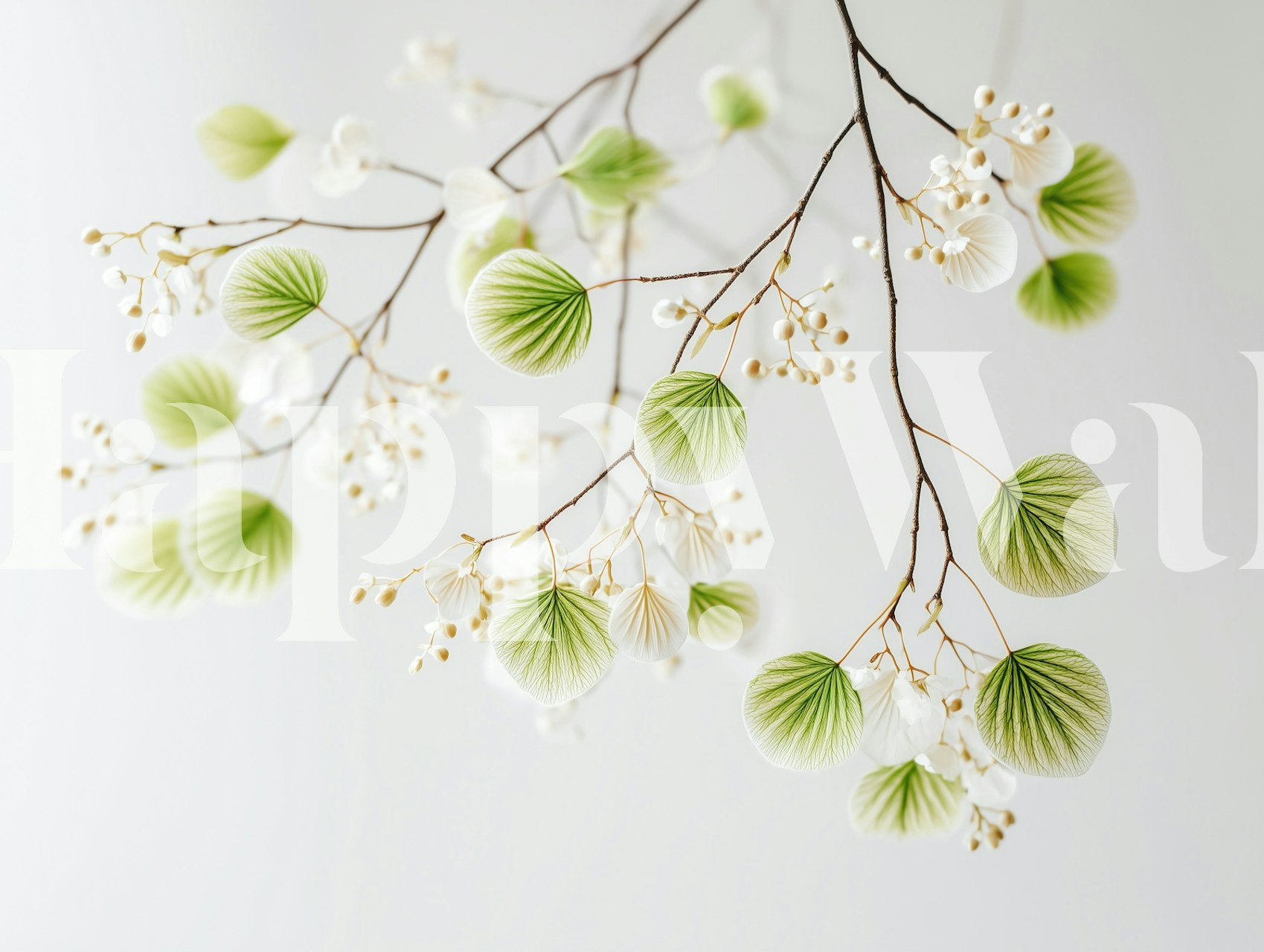 Papier peint Minimalist Botanical Beauty dans une pièce